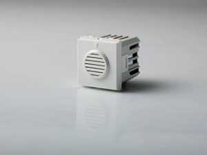 Buzzer
