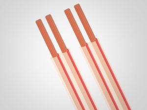 Speaker Cable