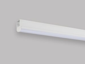 Trunking Light
