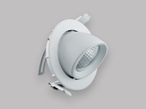 Zoom Light